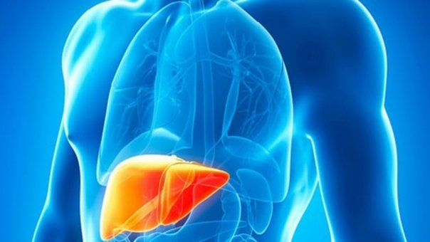 Alimentul care poate preveni cancerul de ficat