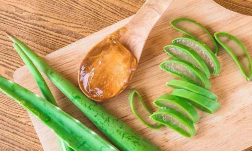 aloe-vera-beneficii-utilizari-sanatate