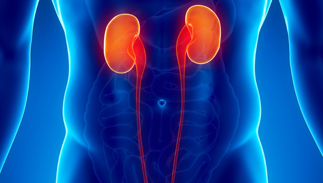 Cancerul renal: si hipertensiunea arterială poate fi de vina