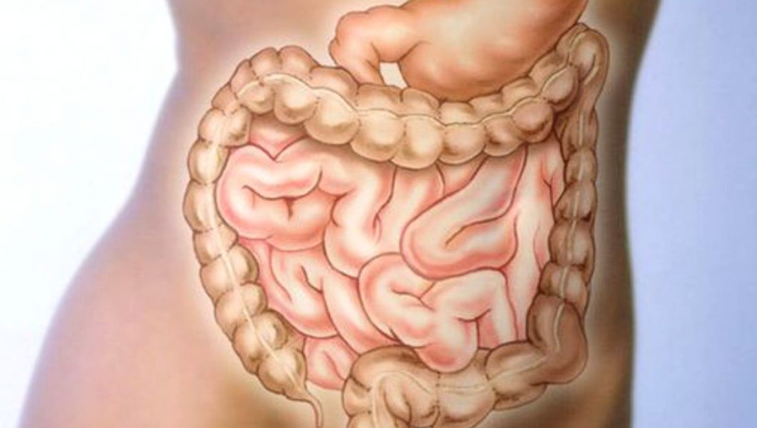 Vinul roșu ajuta la echilibrarea florei intestinale