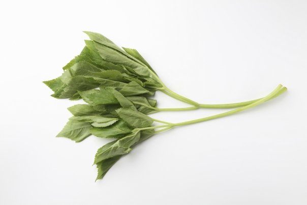 Planta care te protejeaza de imbatranirea tesuturilor