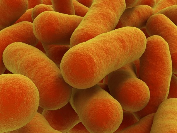 botulism