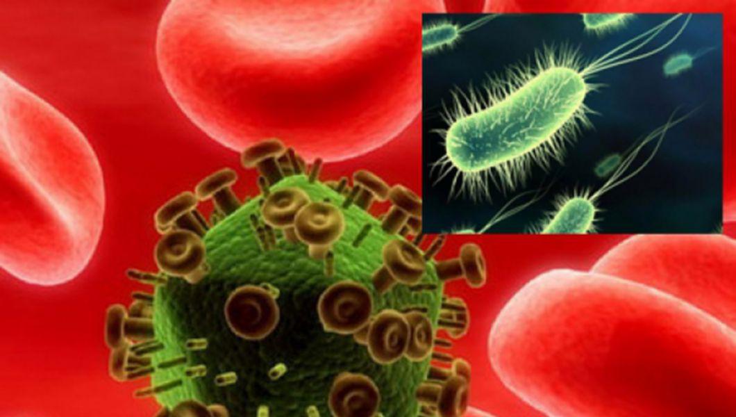 Diferențele dintre viruși și bacterii