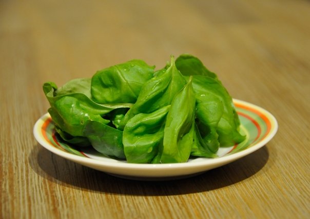frunze de busuioc
