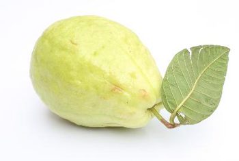 Fructul care protejeaza celulele organismului de daune