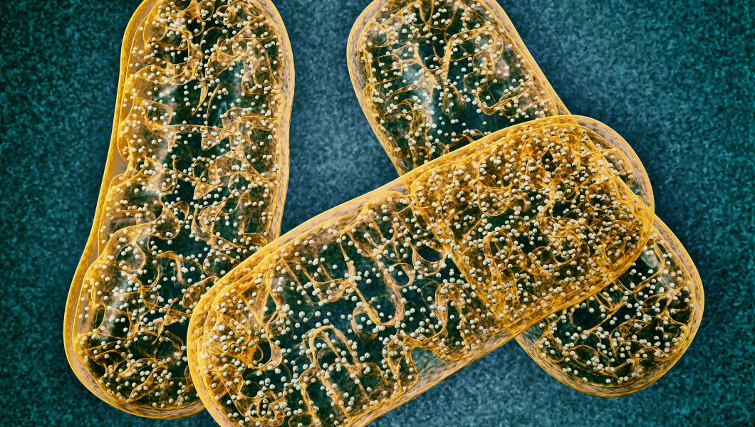 Cancer de prostata: Numarul de urinari zilnice poate fi un semnal de alarma