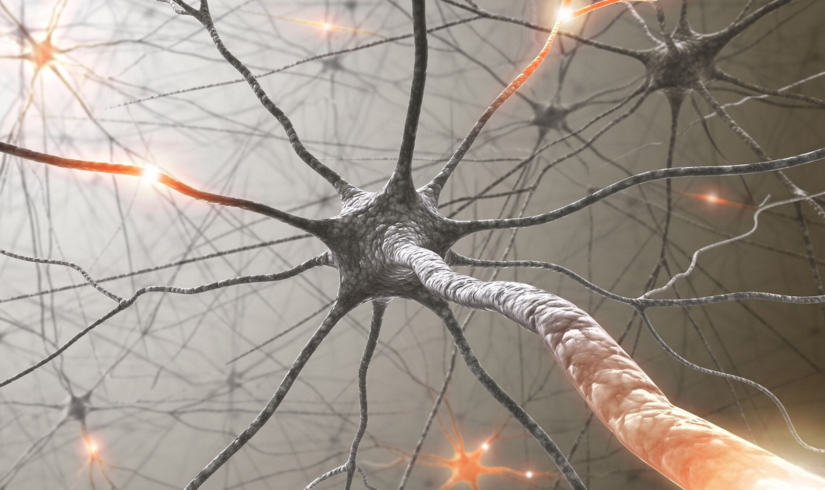 Coronavirusul ataca neuronii si sistemul nervos?
