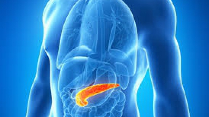 Cand pancreasul tau da semne de oboseala