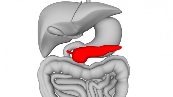 Terapia enzimatica in pancreatita cronica