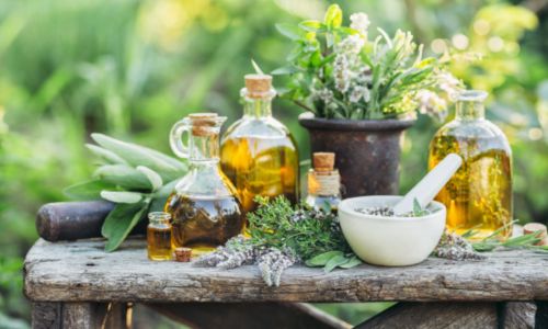 plante medicinale pentru tratamentul hipertensiunii arteriale