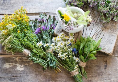 plante care protejeaza inima