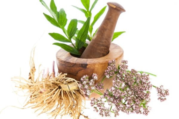 planta de valeriana cu radacina
