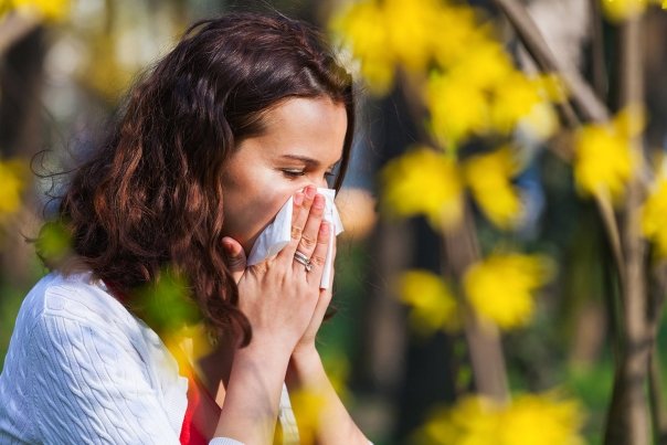 Remedii naturale pentru alergii de sezon