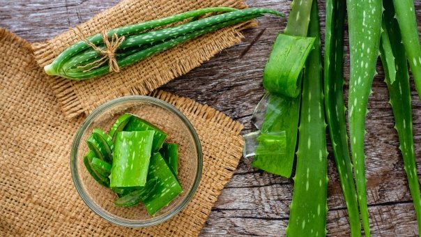 Planta medicinala eficienta in tratarea unor boli, dar si pentru mentinerea tineretii
