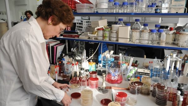Superbacteria letala care a inceput sa se raspandeasca in intreaga lume alerteaza specialistii