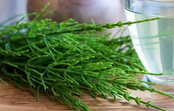 Preparate naturale care diminueaza simptomele osteoporozei