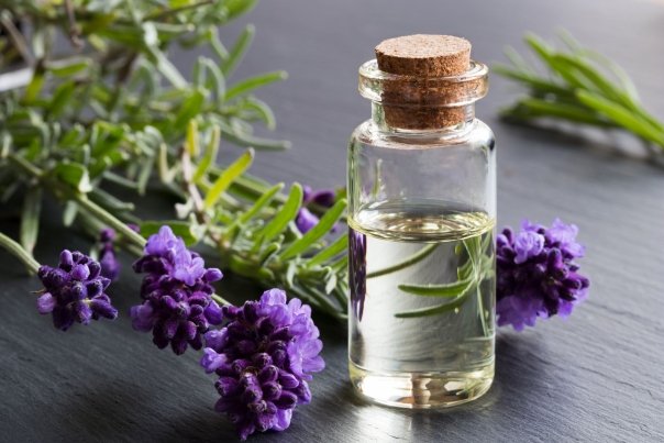 Ce beneficii are apa de lavanda si cum o preparam