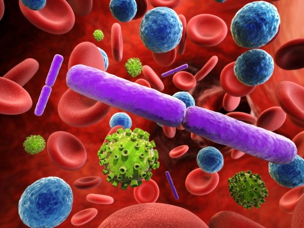 Modalitati naturale de a tine in frau infectiile