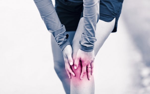 Leguma care poate usura viata bolnavilor de osteoporoza