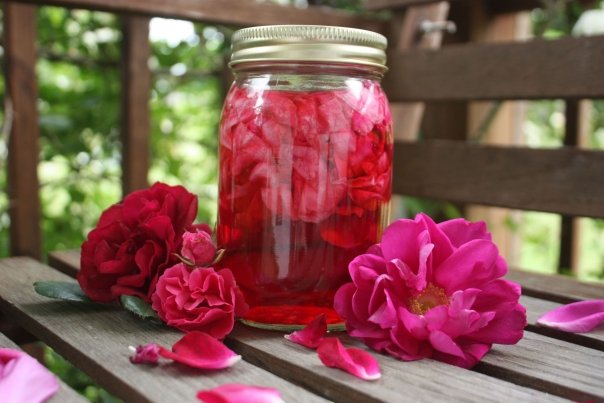 Florile care alunga febra