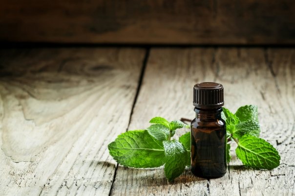Ulei esential eficent in indigestie, durere de cap, crampe musculare