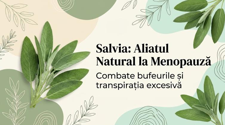 Frunze de salvie pentru combaterea bufeurilor și transpirației la menopauză.