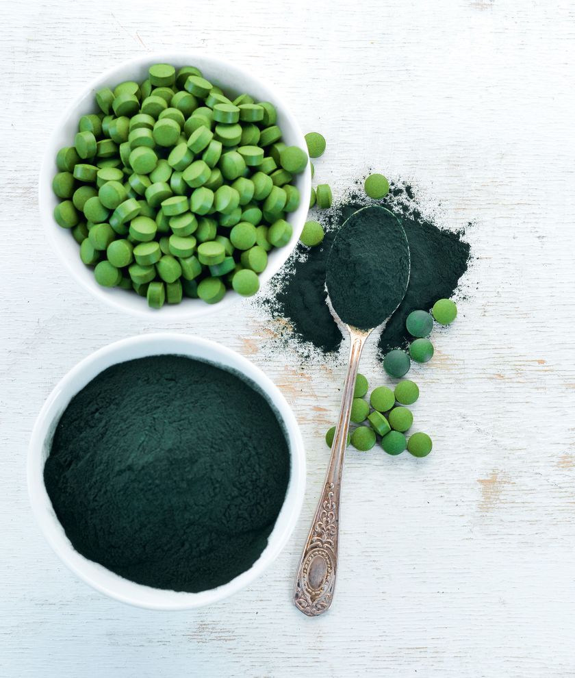 spirulina-1820