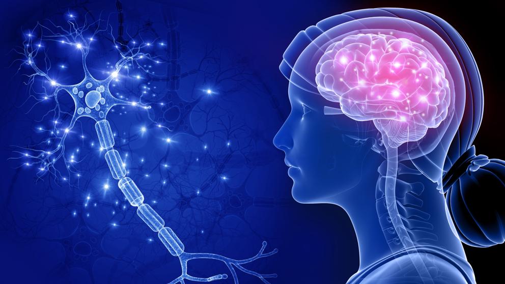 Stadiile si simptomele bolii Alzheimer