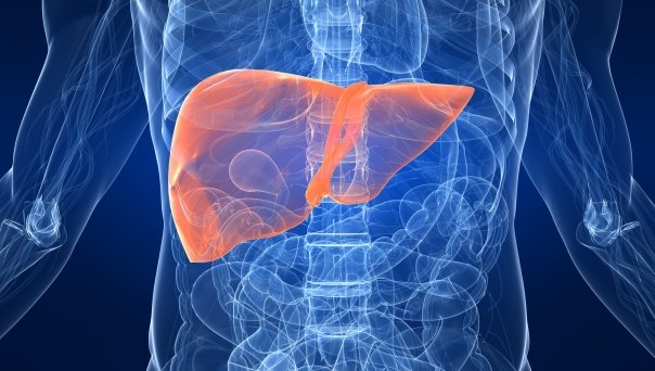 Semne care indica aparitia steatozei hepatice