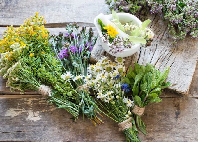 5 plante indicate în tratarea hemoroizilor