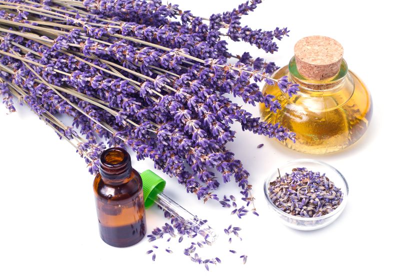 Uleiul de lavandă, un elixir pentru trup şi suflet. De ce este bine să-l ai în casă