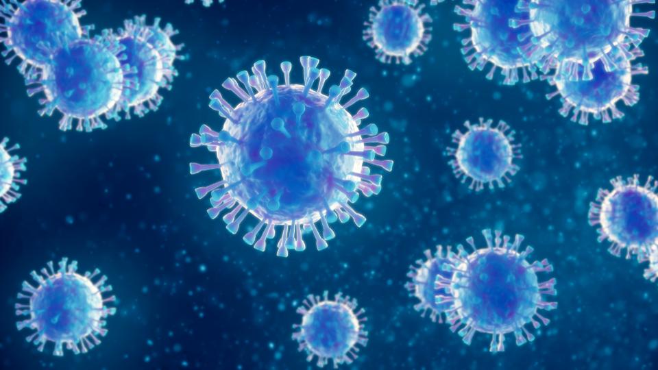 Virusul va avea două VÂRFURI în România. El nu poate fi oprit, doar TEMPORIZAT